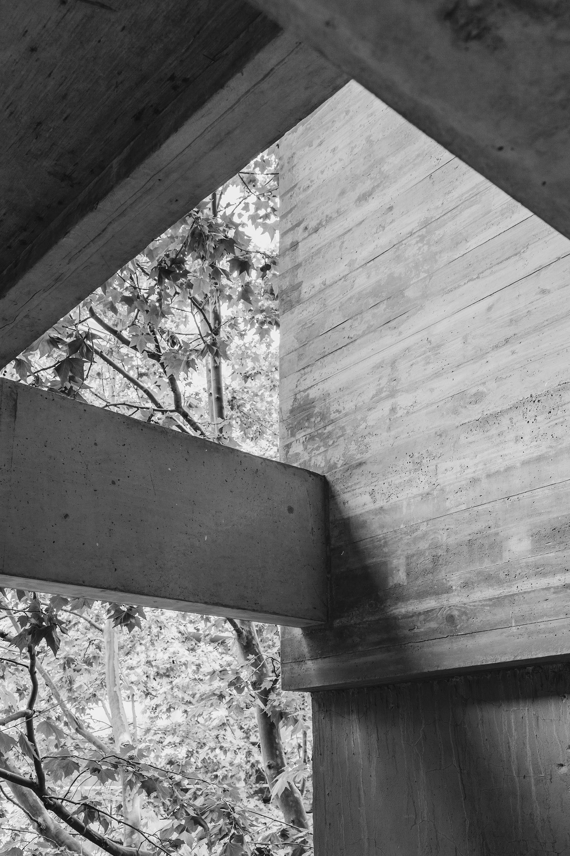 arquitectura sustentable