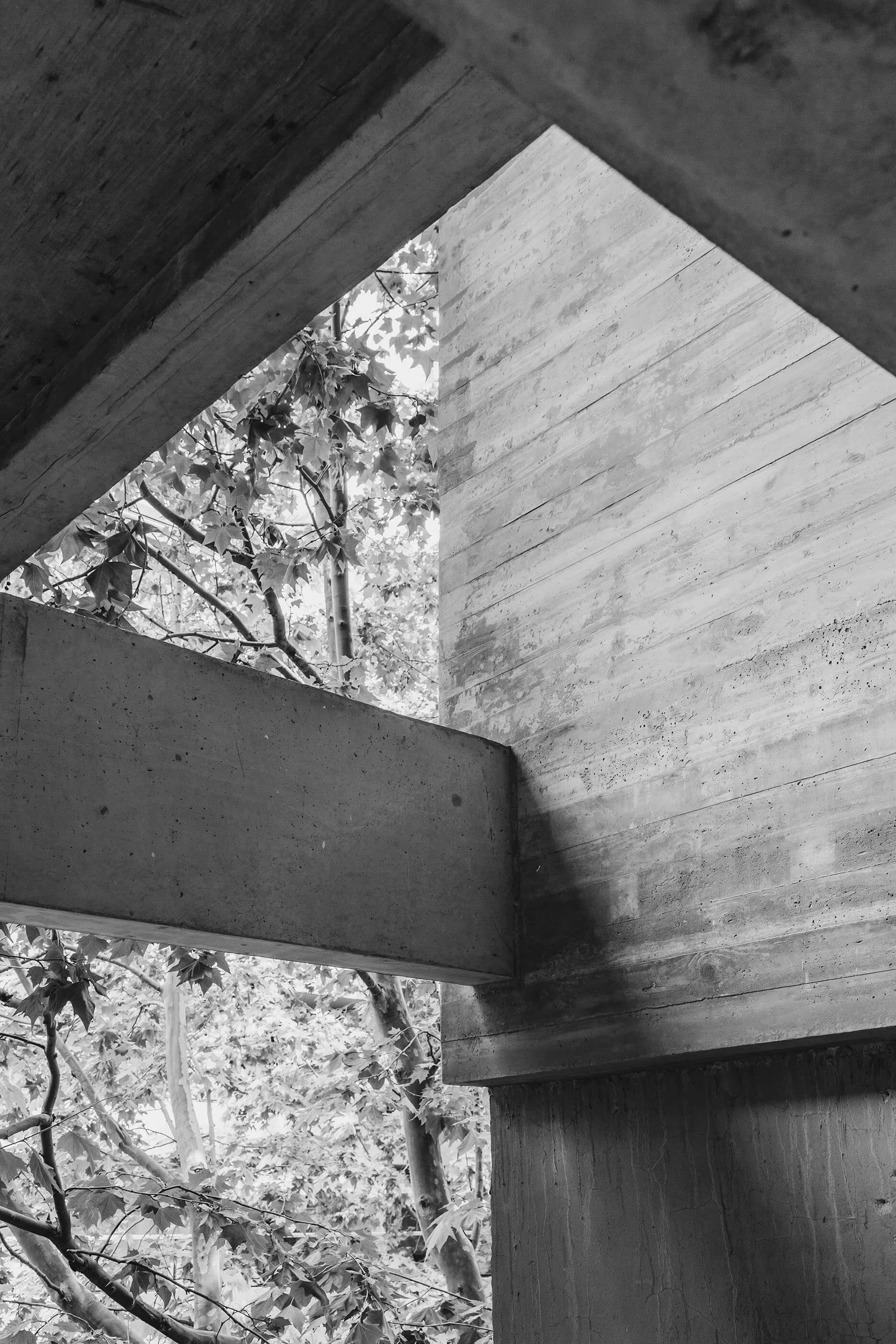 arquitectura sustentable